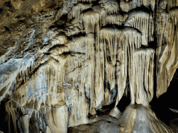 jaskinia Niedźwiedzia Kletno