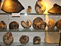 Muzeum Ziemi w Kletnie